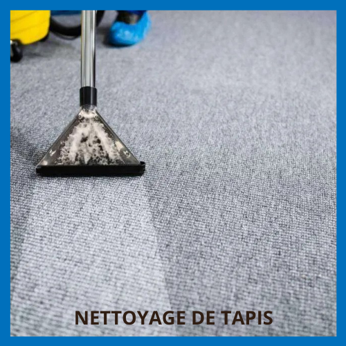 nettoyage de tapis et moquettes agm proprete